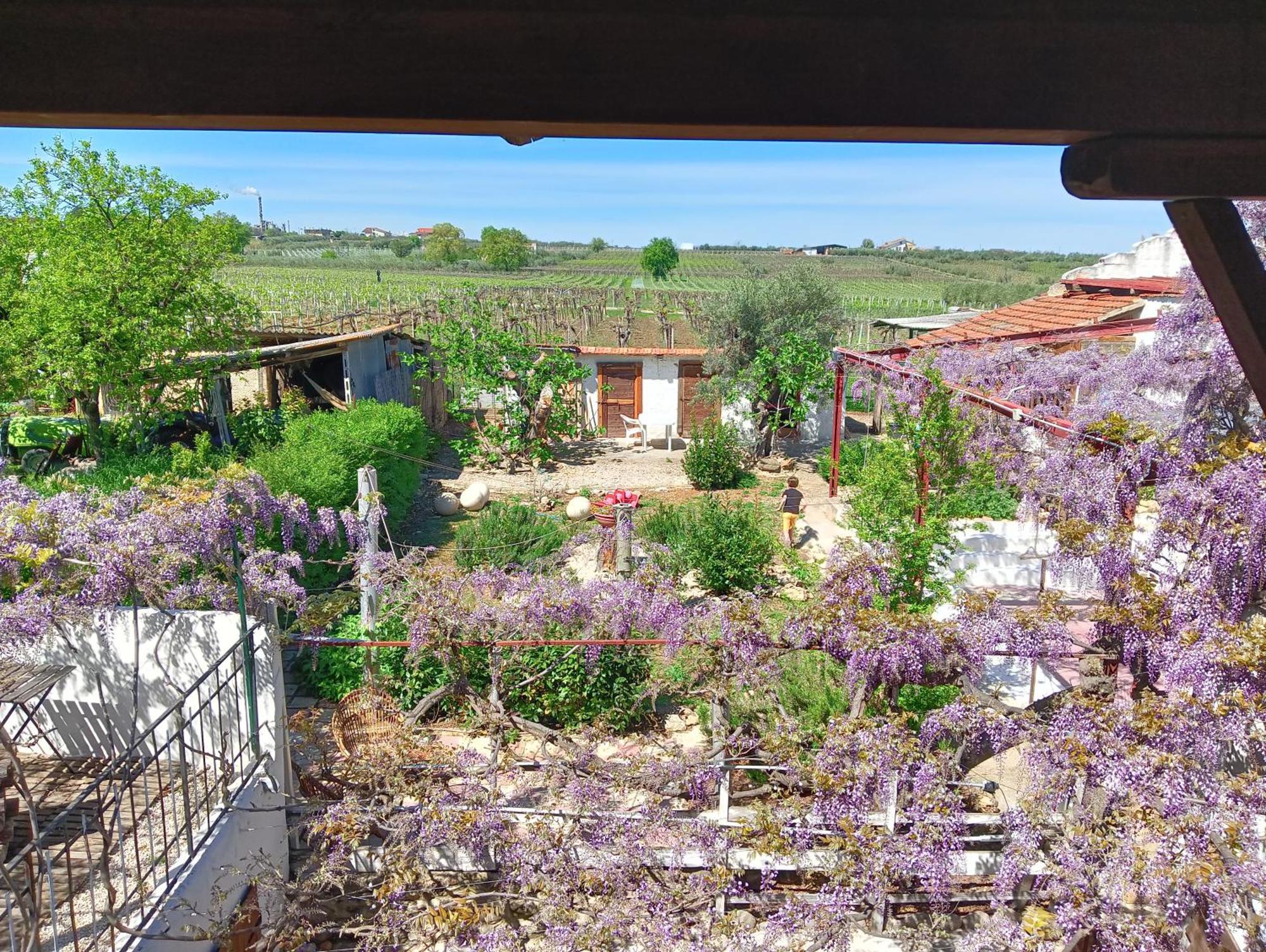B&B Il Secolo Breve Ortona Exterior photo